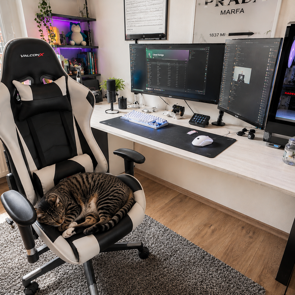 VALCONX creator setup